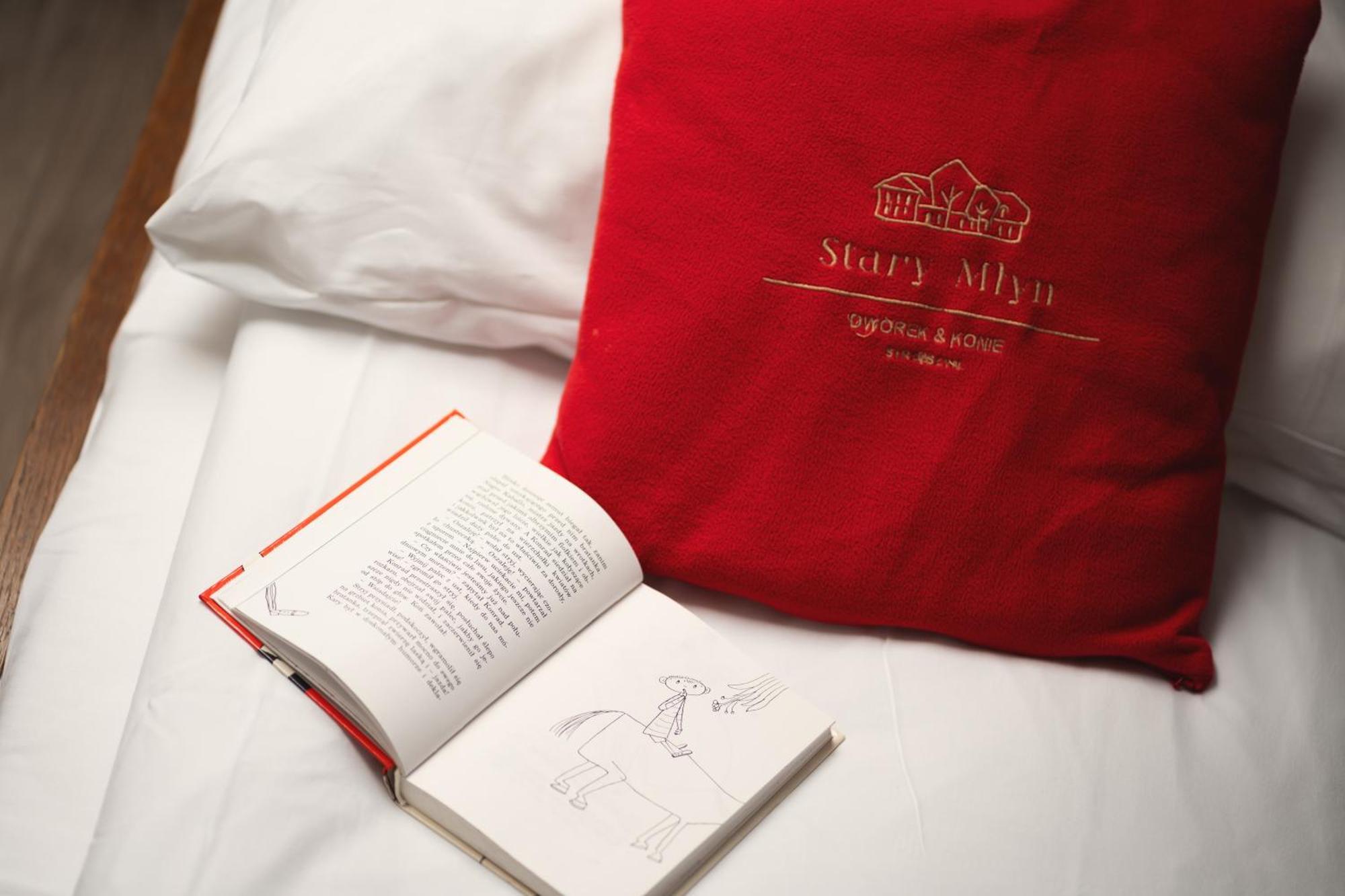 Hotel Stary Mlyn Strzeszyn Lubowo  Esterno foto