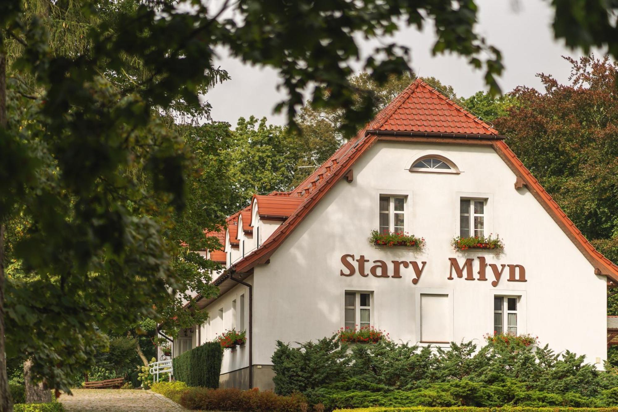 Hotel Stary Mlyn Strzeszyn Lubowo  Esterno foto