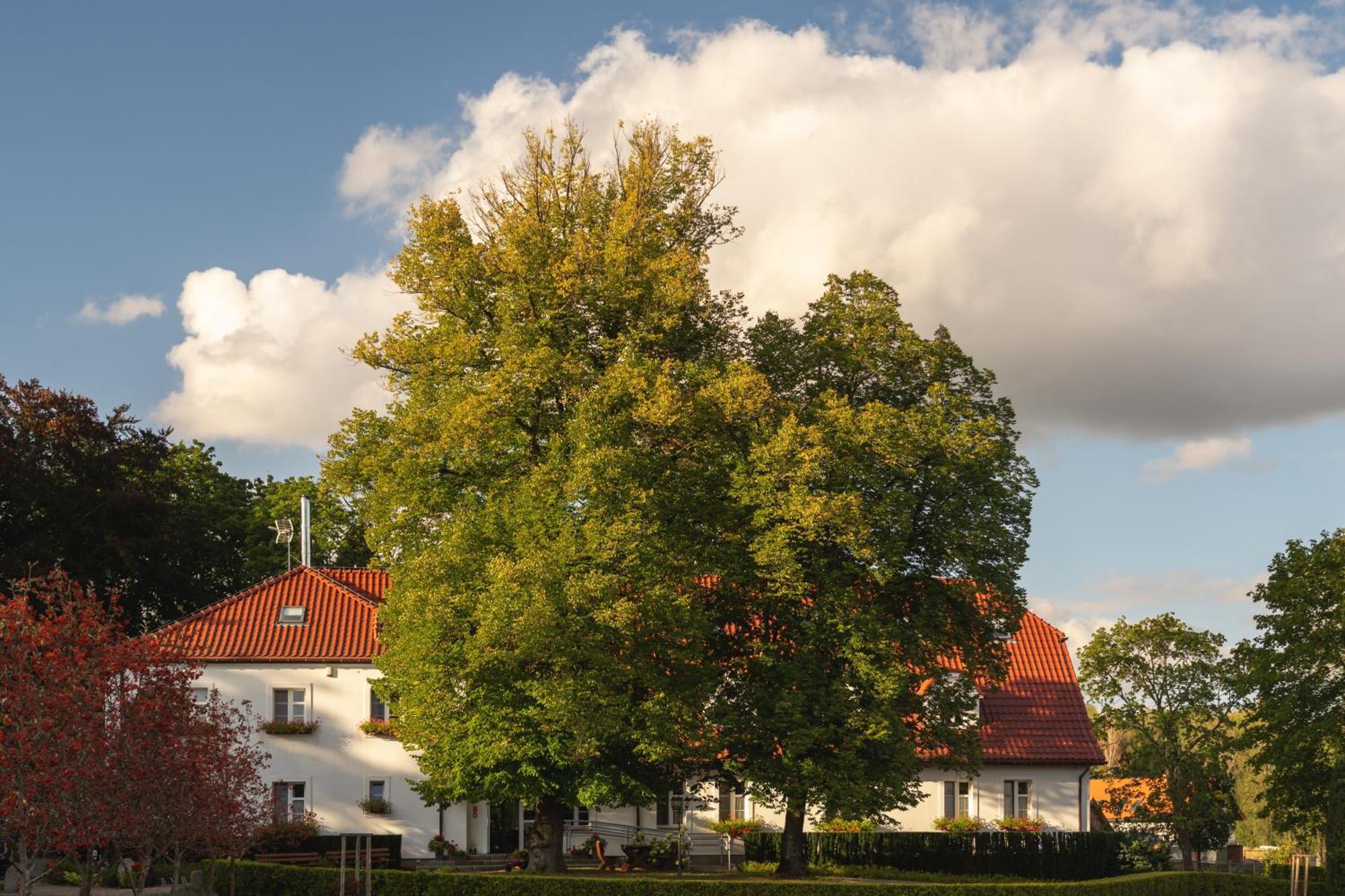 Hotel Stary Mlyn Strzeszyn Lubowo  Esterno foto